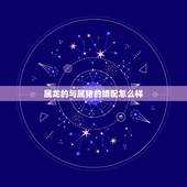 属龙的与属猪的婚配怎么样，属龙人命中注定的另一半