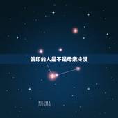 偏印的人是不是母亲冷漠，儿子偏印多，是与母亲水火不相容吗