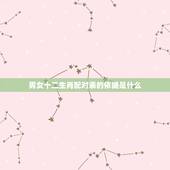 男女十二生肖配对表的依据是什么，十二生肖配对表男女
