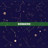 怎样栽发财树，发财树怎样栽种