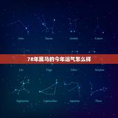 78年属马的今年运气怎么样，78年属马的今年财运如何。