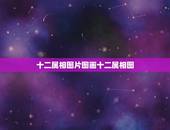 十二属相图片图画十二属相图，求十二生肖里，羊、狗的剪纸图片~