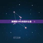 属猴的1992年是什么命，五行相生相克