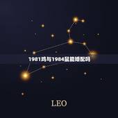 1981鸡与1984鼠能婚配吗，1981年属鸡的男与1984年属鼠的女