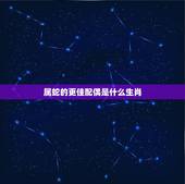 属蛇的更佳配偶是什么生肖，98年属虎人躲不过去的大难