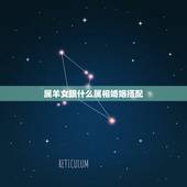 属羊女跟什么属相婚姻搭配，女羊男虎婚姻相配吗