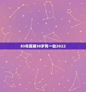 83年属猪38岁有一劫2022，1985年属牛人的命运