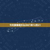 今天属相是什么2021年12月21，2021年今天属相是什么