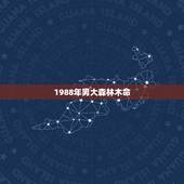 1988年男大森林木命，92年剑锋金命配88年大林木命？