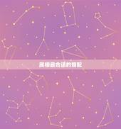 属相最合适的婚配，属狗和什么属相最配 属狗的属相婚配表大全