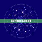 属猪的婚配什么属相最佳，95年属猪的婚配和什么属相最好