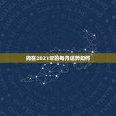 狗在2021年的每月运势如何，70年属狗2021年运势及运程每月运程