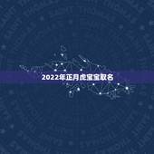 2022年正月虎宝宝取名，2022年正月虎起名用什么好