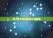 好人好心有好报是什么属相，好人自有，好来报。是什么生肖？求解