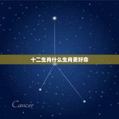 十二生肖什么生肖更好命，十二生肖排行榜