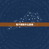 兔子忌配什么属相，属兔的三大忌配生肖
