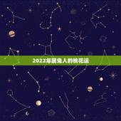 2022年属兔人的桃花运，75年属兔47岁有一灾