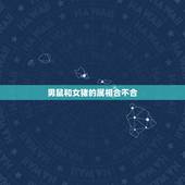 男鼠和女猪的属相合不合，鼠男和猪女命中合不合