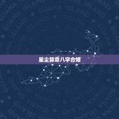 星尘算命八字合婚，来看看这个八字，有没有正缘？什么时候出现？对方是什么