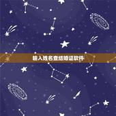 输入姓名查结婚证软件，输入姓名查结婚证杨多金召莫？