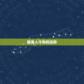 属兔人今年的运势，属羊今年的运势