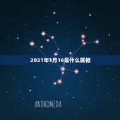 2021年1月16是什么属相，2021年太岁犯什么属相