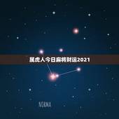 属虎人今日麻将财运2021，2021属马人打麻将财运