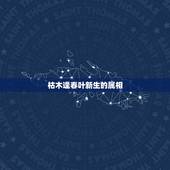 枯木逢春叶新生的属相，枯木逢春 是什么生肖？