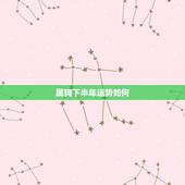 属狗下半年运势如何，70年属狗的人2021年运势如何