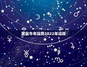 属鼠牛年运势2022年运程，2022属鼠人的全年运势