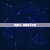 属龙和什么属相最旺财，76年十一月属龙男配什么属相最好？
