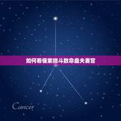 如何看懂紫微斗数命盘夫妻宫，求紫薇命盘的夫妻宫分析