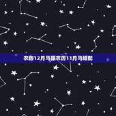 农历12月马跟农历11月马婚配，属马的和什么属相最相配 12属相婚配表
