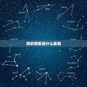 狗的婚配是什么属相，属狗的婚配