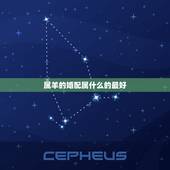属羊的婚配属什么的最好，属羊的婚姻配什么属相好