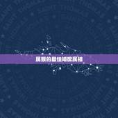 属猴的最佳婚配属相，属猴最佳配对属相？