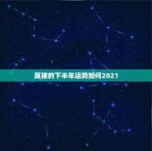 属猪的下半年运势如何2021，2021属猪人全年运势