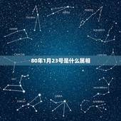 80年1月23号是什么属相，1981年1月23日出生属于哪个生肖