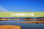 八大财神图片介绍，八大详细的介绍（有图片更好）