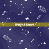 属马的和属鼠的合吗，属马的和什么属相最配