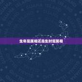 生年是属相还是生时是属相，生肖是生的年份或是生的时间