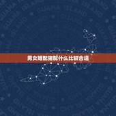 男女婚配猪配什么比较合适，属相猪和什么配最佳