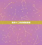 属虎十二月份婚配属相，属虎的女人和什么属相最配
