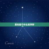 卖车起个什么名字好，我是做二手车的起什么名字比较大气又好记