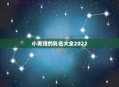 小男孩的乳名大全2022，牛宝宝乳名男女通用