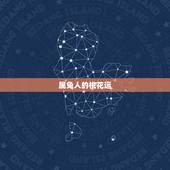 属兔人的桃花运，属兔人的财运