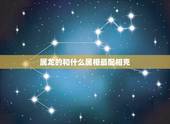 属龙的和什么属相最配相克，为什么属龙不能带金