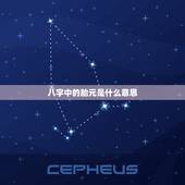 八字中的胎元是什么意思，胎元命宫身宫断命
