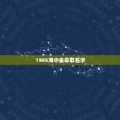 1985海中金命取名字，海中金命，求高人起个名字！