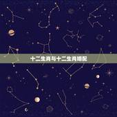 十二生肖与十二生肖婚配 十二生肖最佳姻缘配对